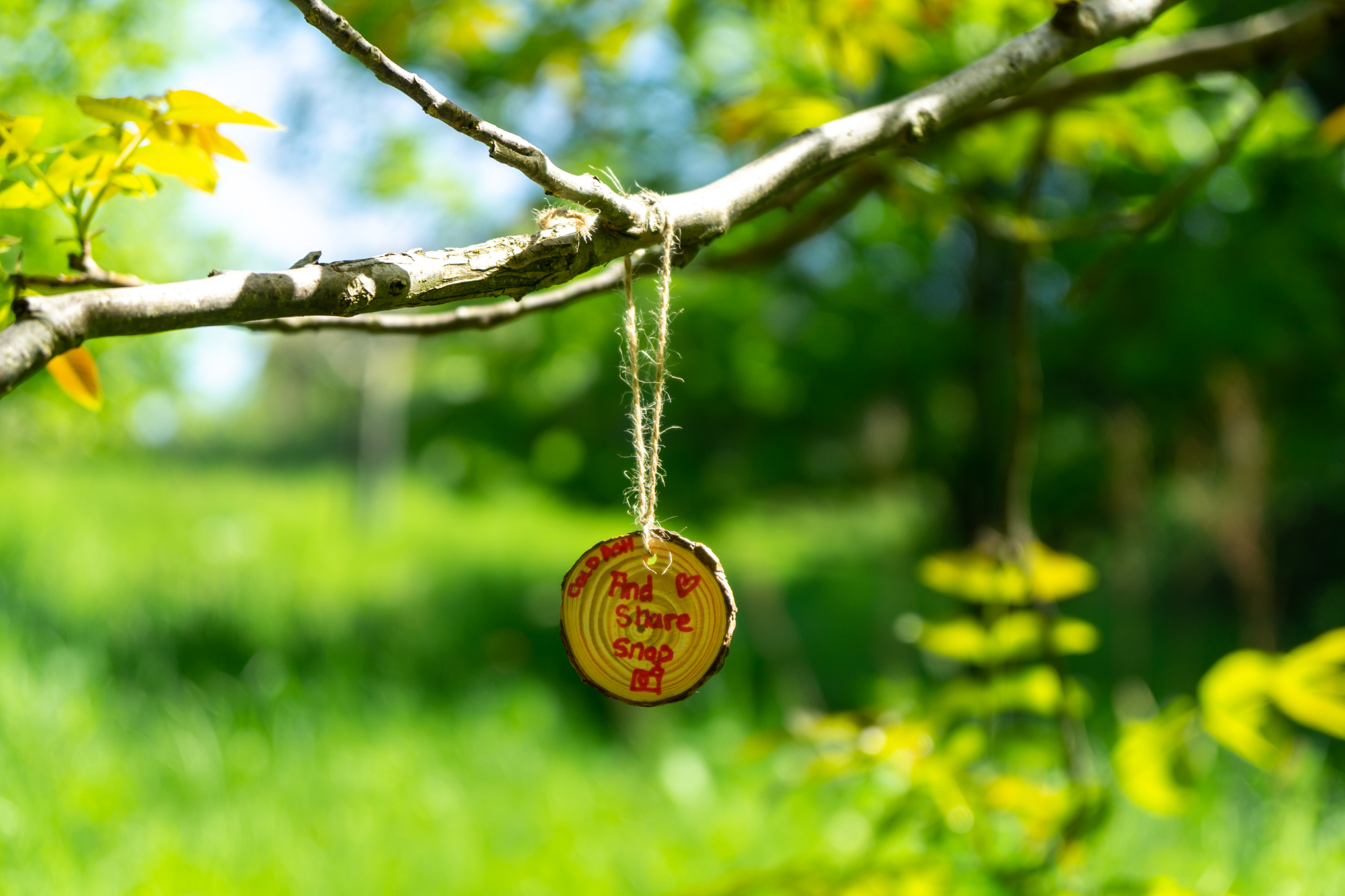 A small wooden disc is hanging from a tree. Children's writing on the disc says "Cold Ash, And Share a Snap". There is also a drawing of a camera on the disc.